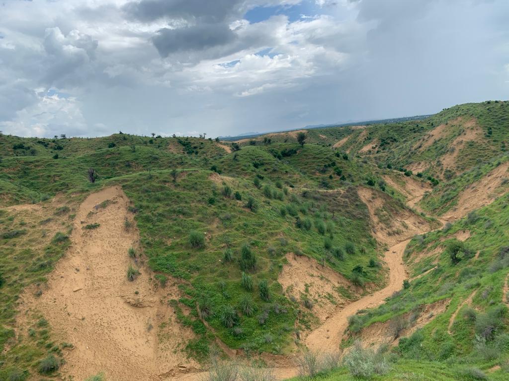 Nature Trail while tracking Tiger with TigerWatch at Ranthambore, India
