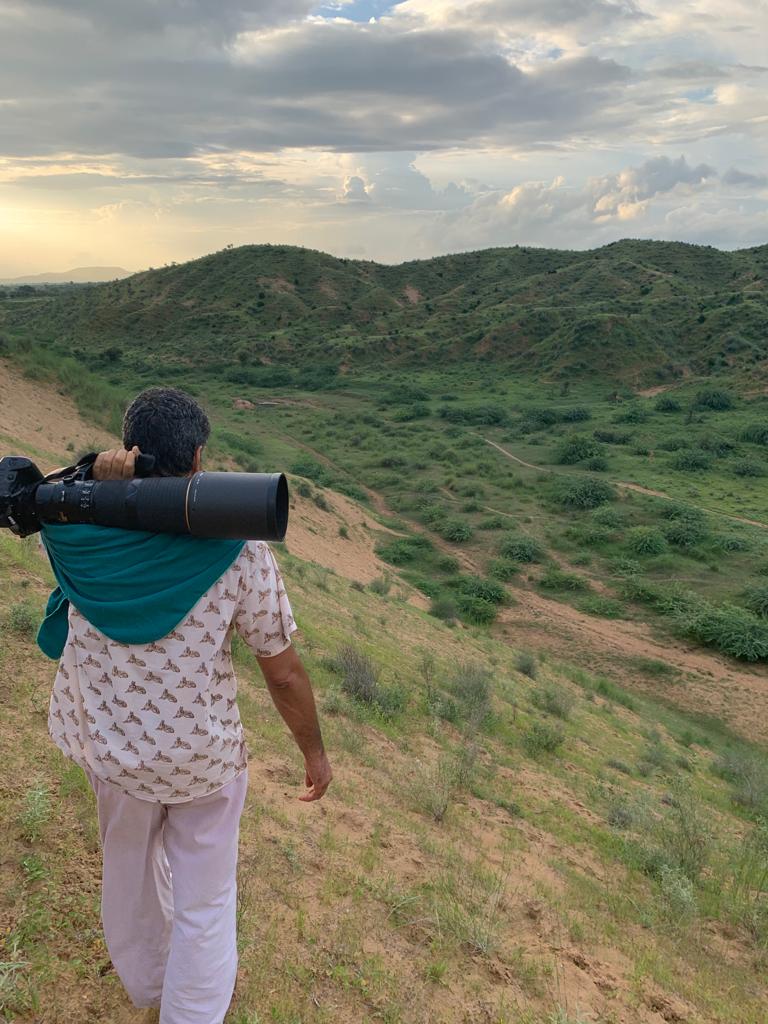 Tiger spotting with TigerWatch at Ranthambore, India
