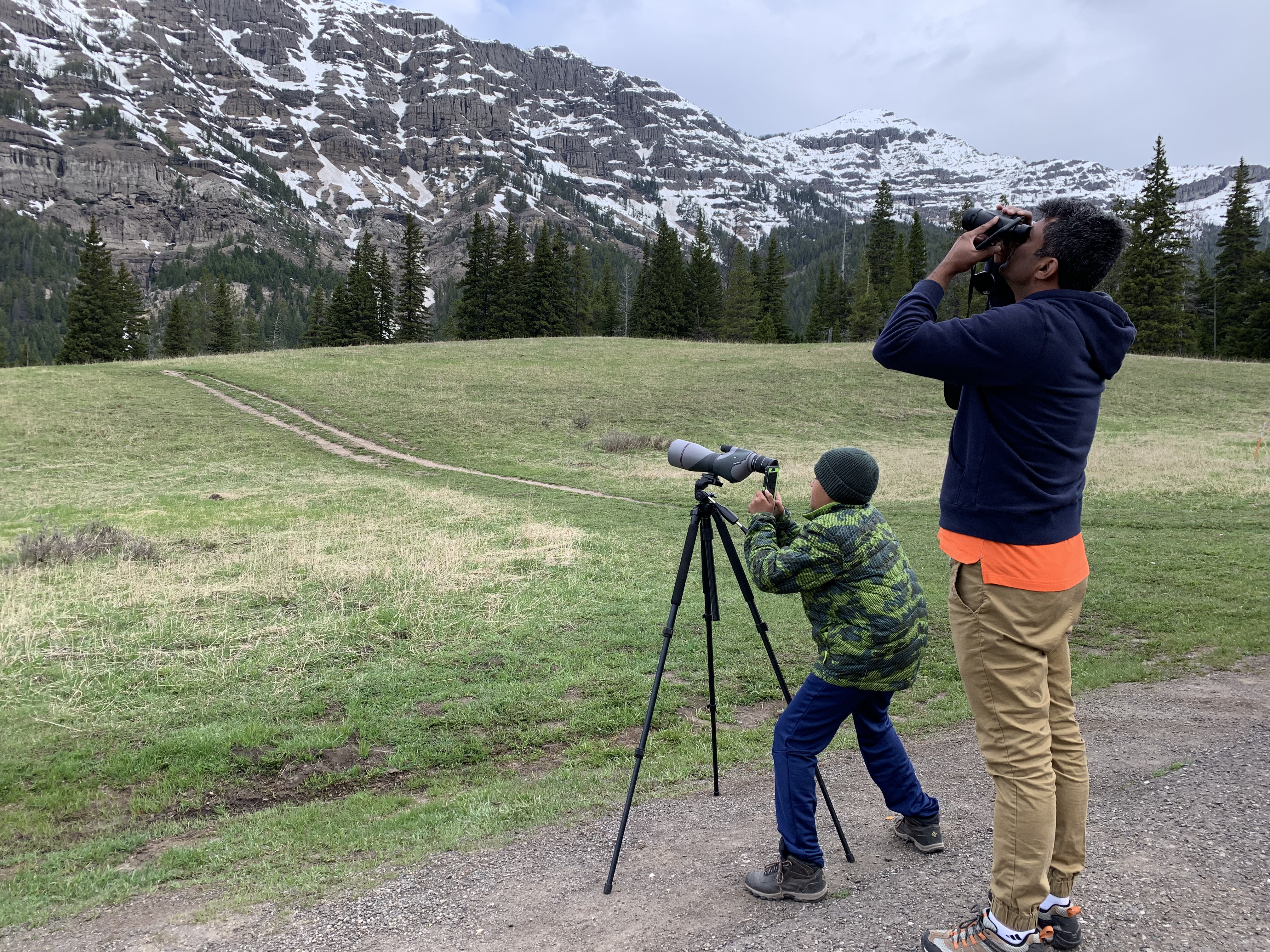 Spotting Mountain Goats at Yellowstone, USA