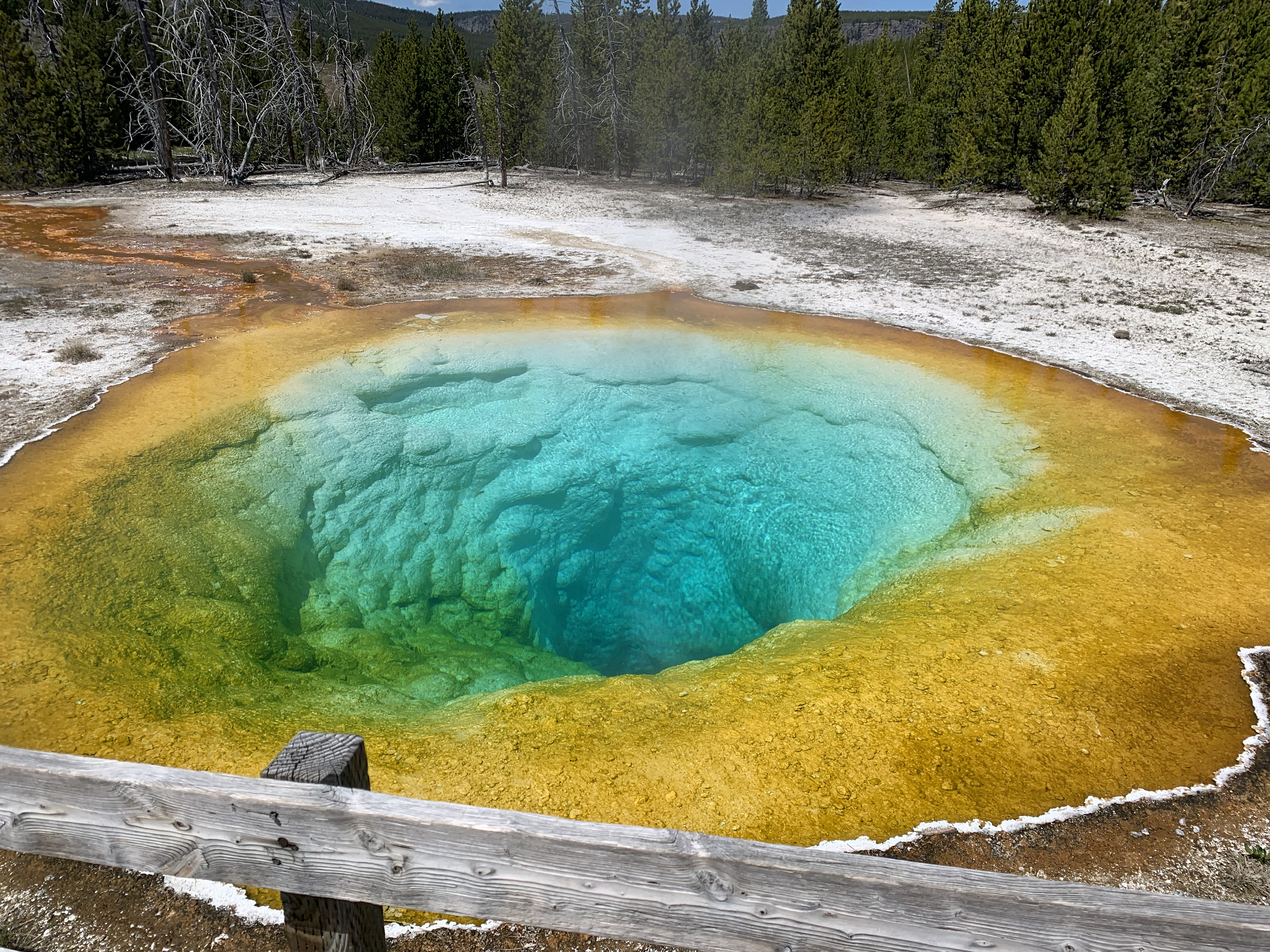 Sulphur spring at Yellowstone, USA